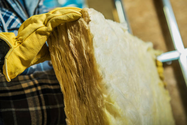 Best Insulation Replacement Services  in Elon, NC